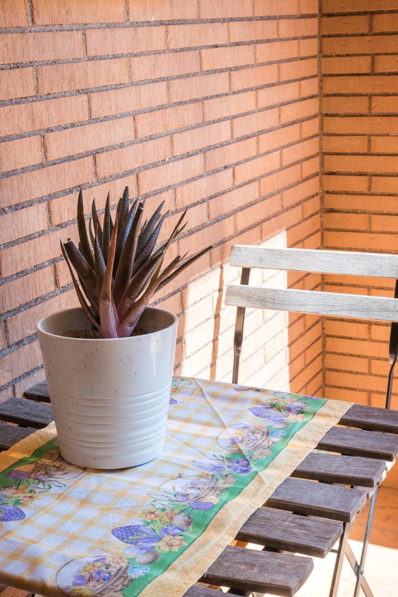Travelershome Ciampino Suite Exteriör bild